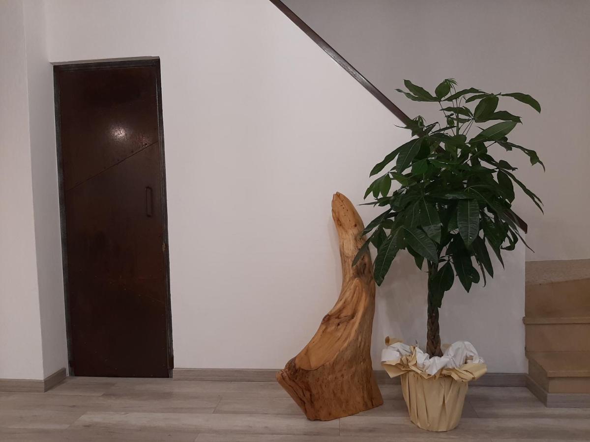 B&B Da Baba Ghizzano Екстериор снимка
