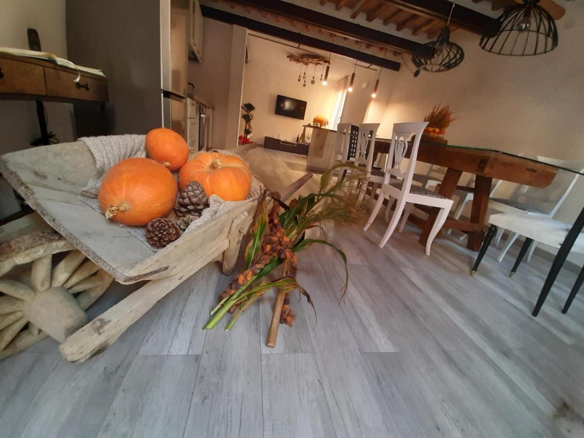 B&B Da Baba Ghizzano Екстериор снимка